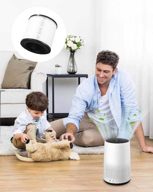 Compatible with Philips 800 Series Air Purifier SOBEAU Pack of 2 HEPA Replacement