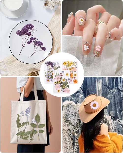 SOBEAU Pressed Flowers